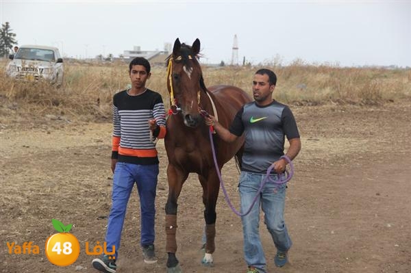 khoyoul lud 0610 (56).JPG